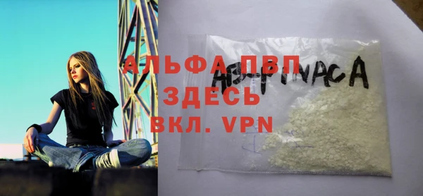 шишки Алзамай