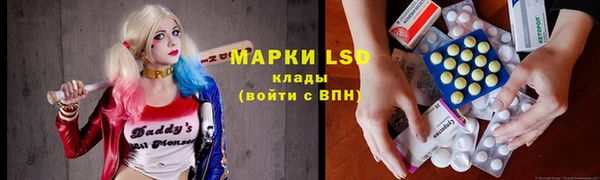 шишки Алзамай