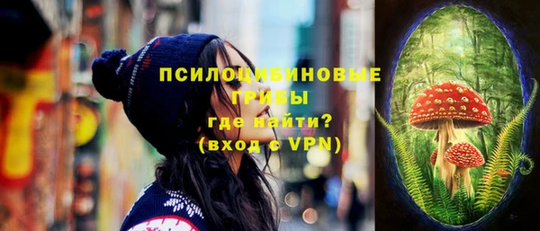 шишки Алзамай