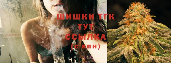 шишки Алзамай