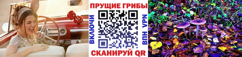 Псилоцибиновые грибы мицелий  Уссурийск 