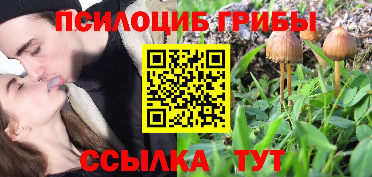 Галлюциногенные грибы Cubensis Уссурийск